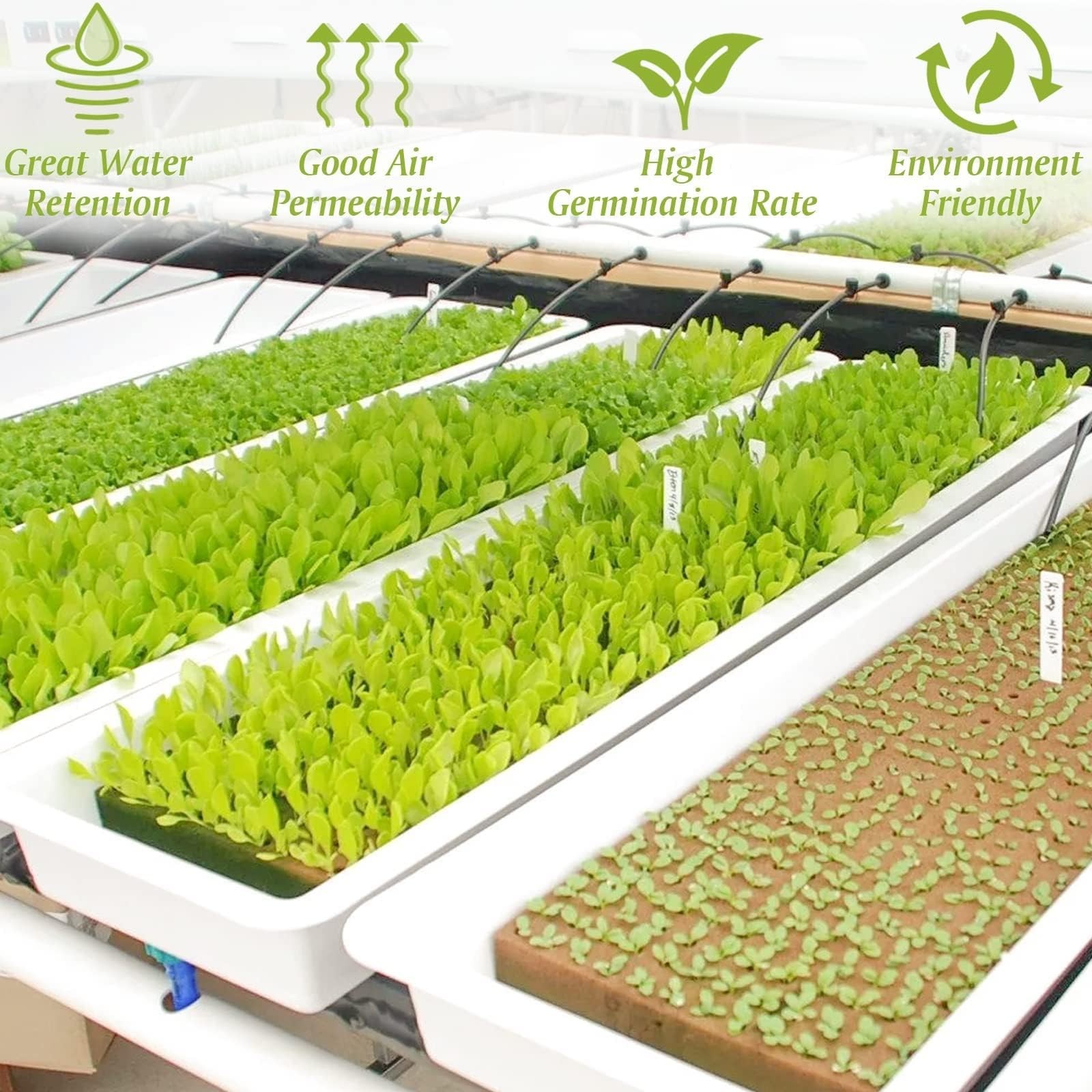 1″ Rockwool Cubes for Hydroponics – 300 Starter Plugs for Soilless Cultivation