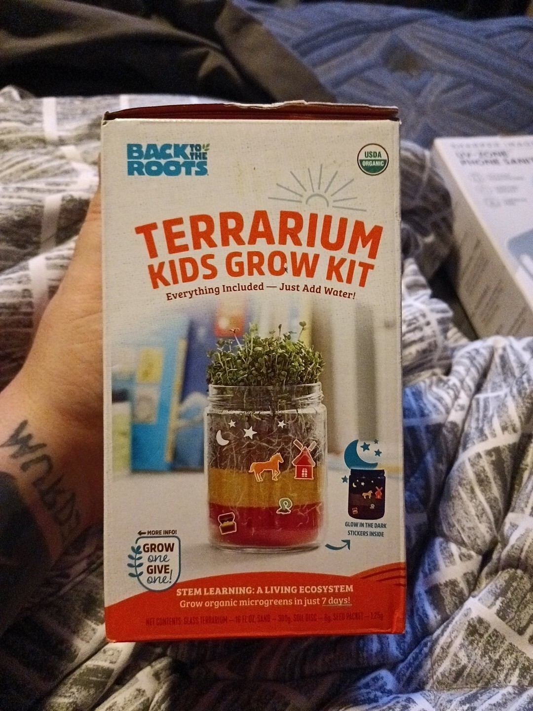Back to the Roots Terrarium Kids Grow Kit Everything Included Just Add Water New