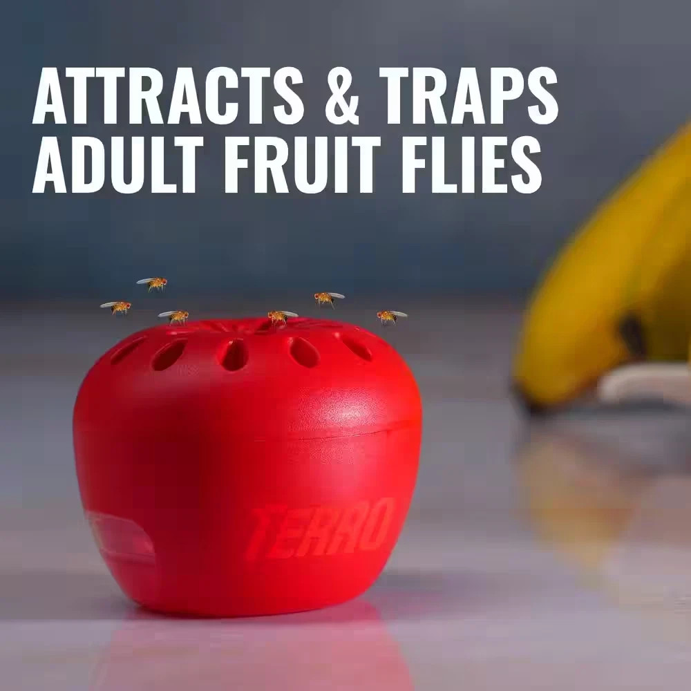Indoor Fruit Fly Trap, (2-count) , Terro Traps, In Built With Window Sinks…
