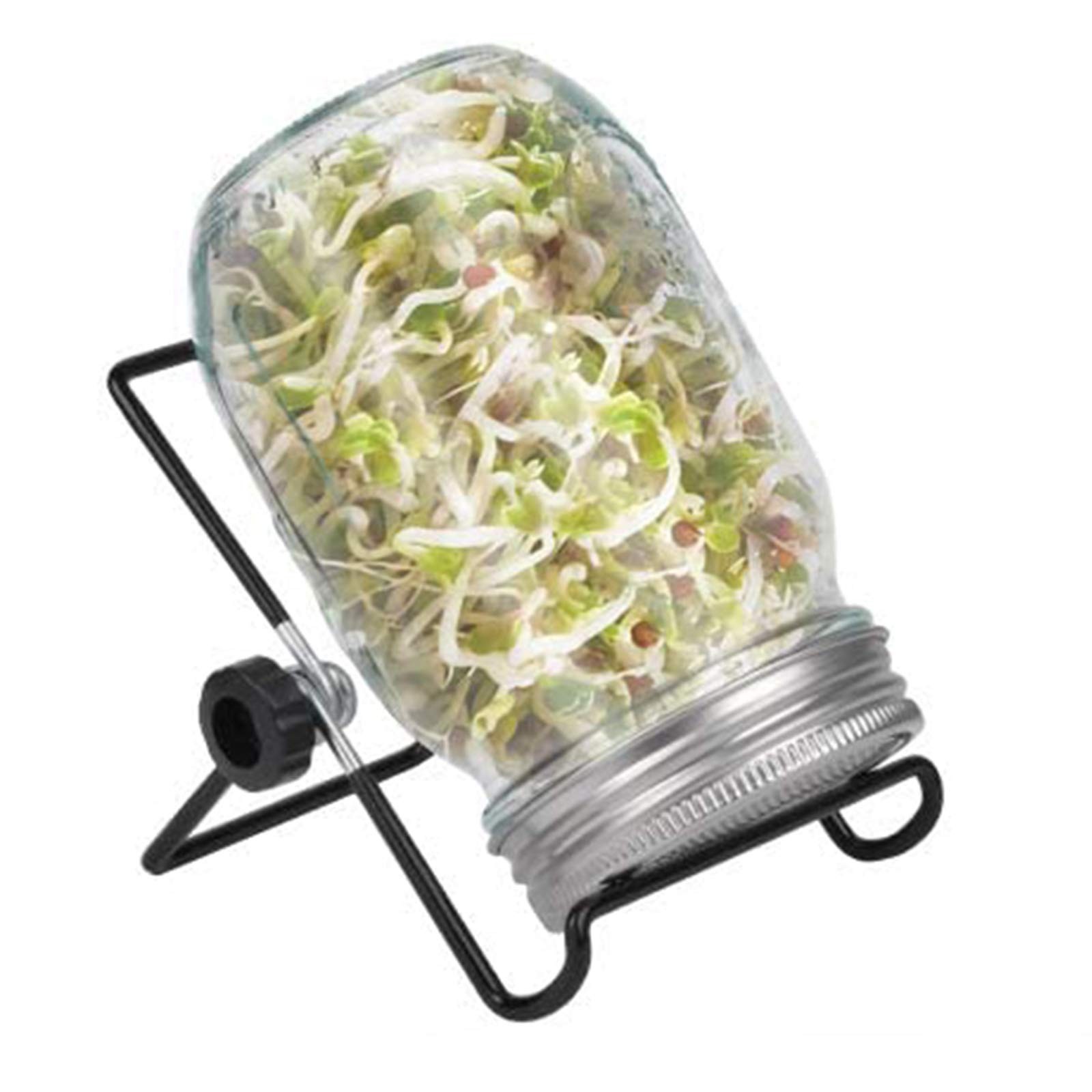 Organic Sprouting Jar Kit for Broccoli, Alfalfa, Mung & Bean Microgreens