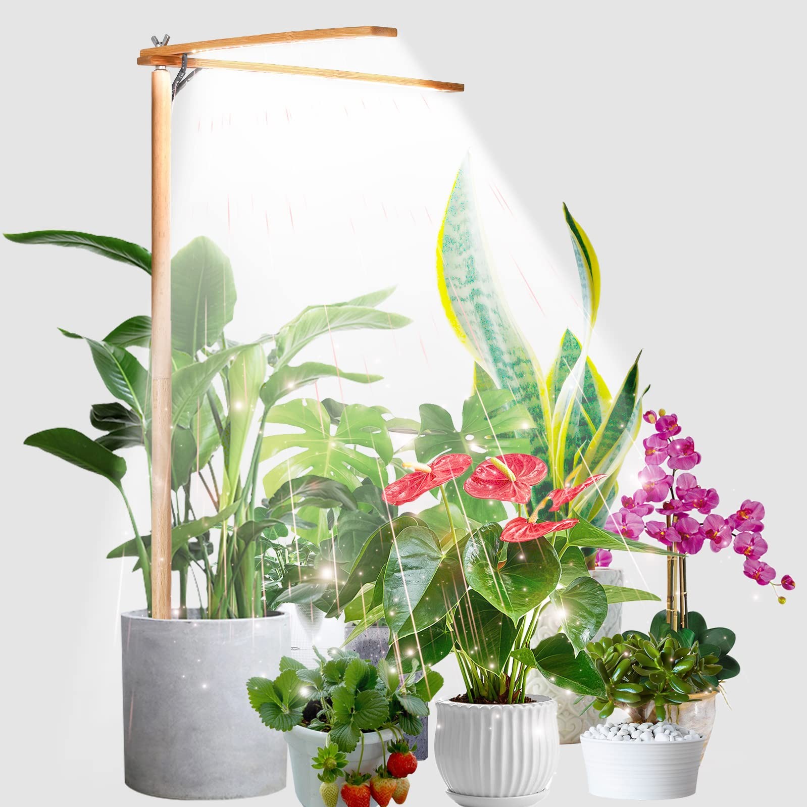 bodkar Wooden Grow Lights for Indoor Plants 2–head, no timer, wood+bamboo