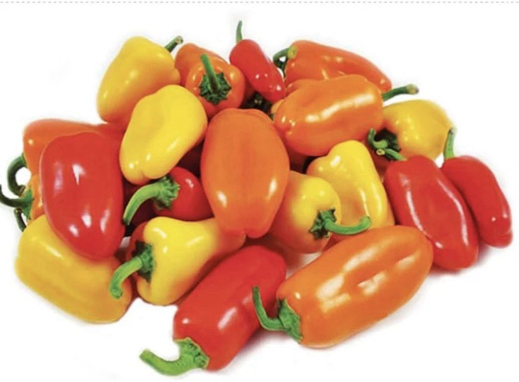 SWEETEST RED,YELLOW,ORANGE MINI BELL PEPPER SEEDS (35 SEEDS ) strawberry sweet