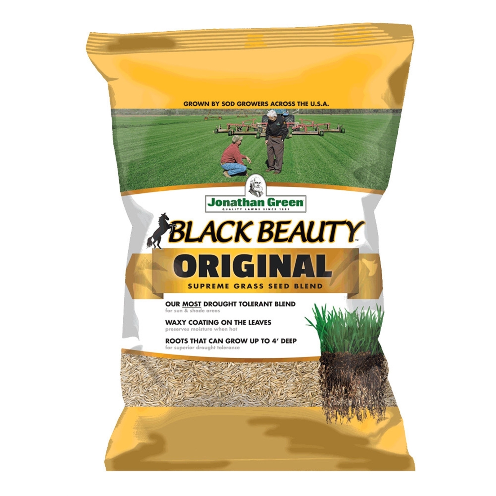 Jonathan Green Black Beauty Original Supreme Grass Seed Blend, 25lbs