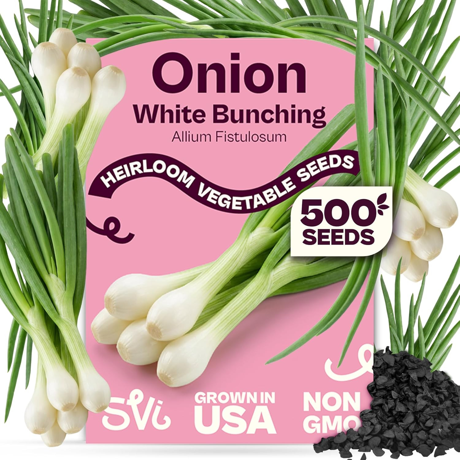 SVI 500 Bunching White Onion Seeds for Planting (Allium Fistulosum) – Green Onio
