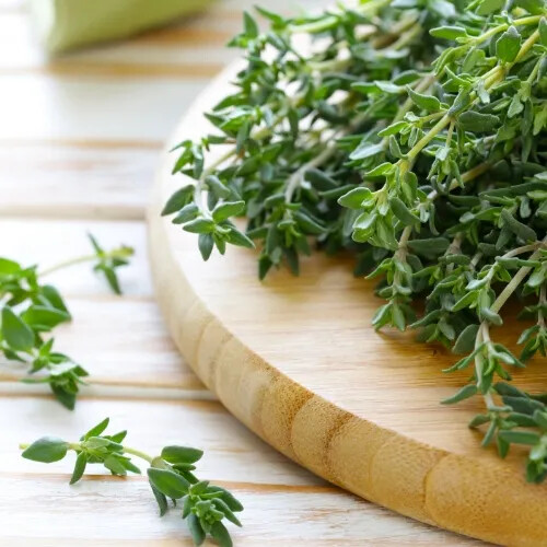 Thyme Seeds | Non-GMO | Herb Seeds | Seed Store | Free Shipping | 1160